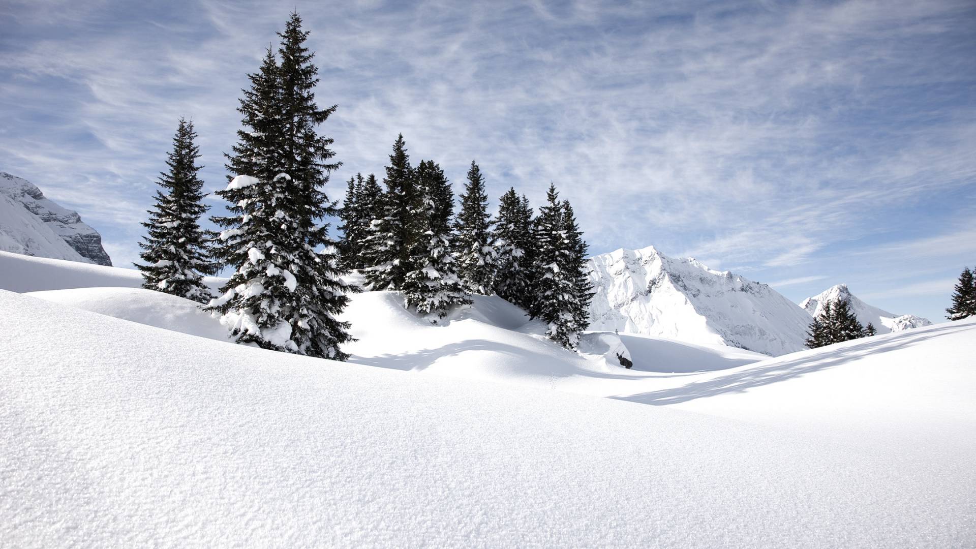 Verschneite Landschaft